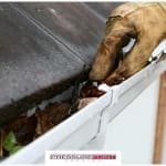 Spring Residential Roofing Maintenance Tips